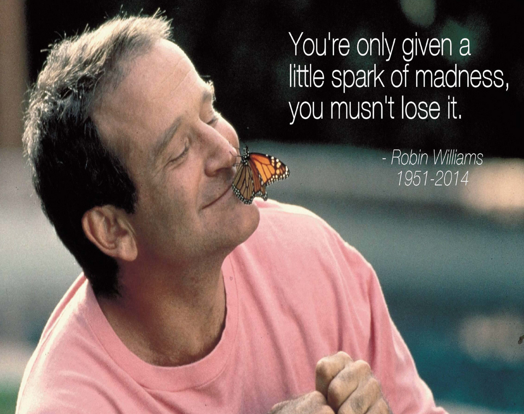 BUTTERFLY ROBIN POSTER - PosterFi