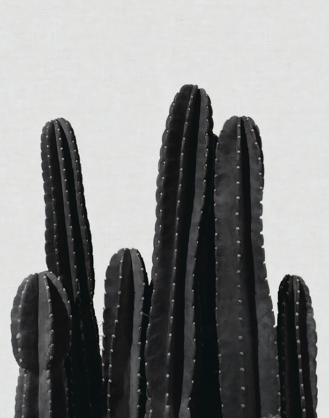 CACTI POSTER - PosterFi