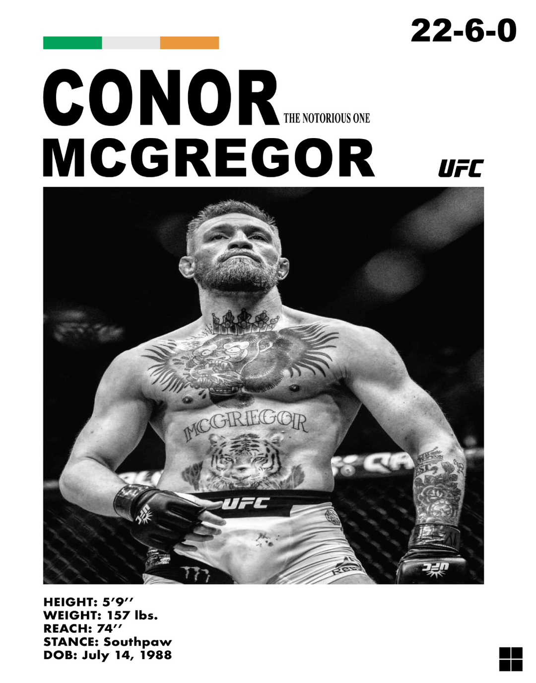 CONNOR MCGREGOR POSTER - PosterFi
