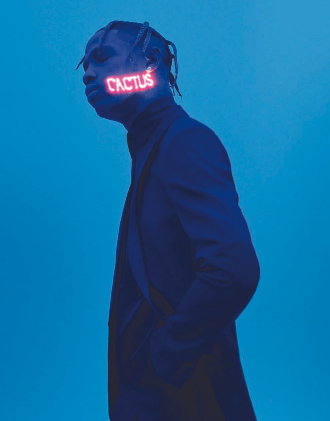 BLUE CACTUS POSTER - PosterFi
