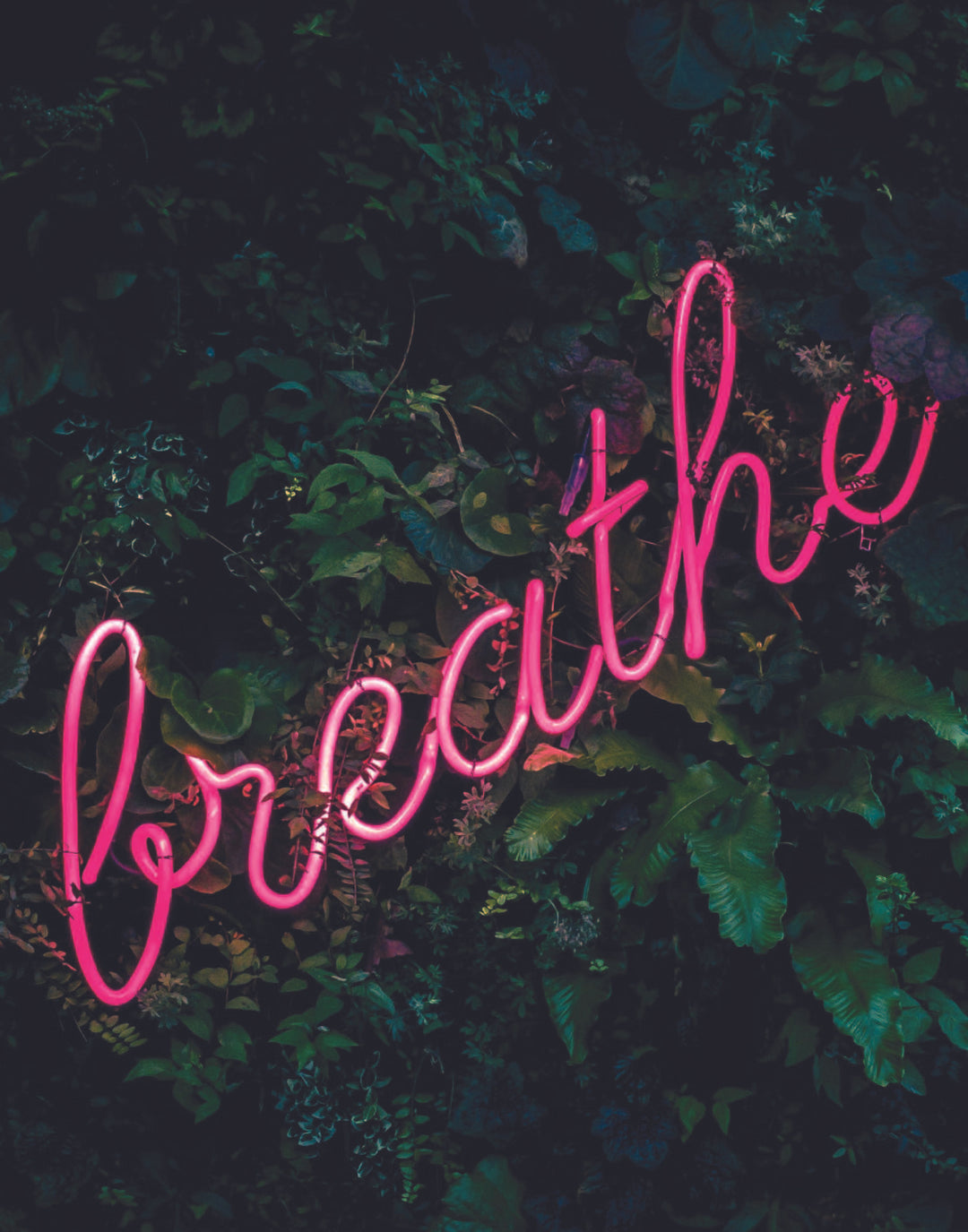 BREATHE POSTER - PosterFi
