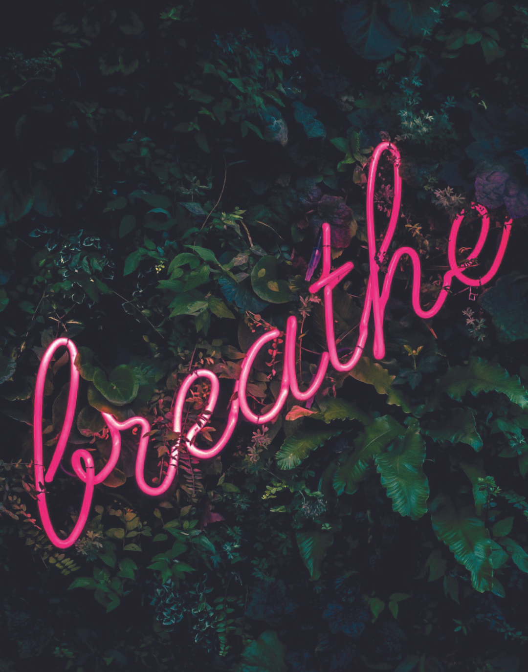BREATHE POSTER - PosterFi