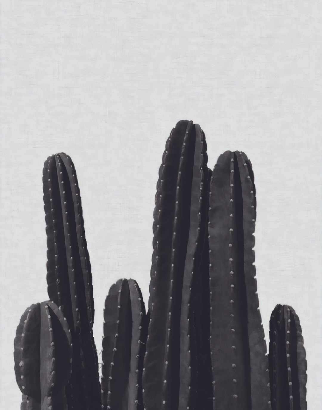 CACTI POSTER - PosterFi