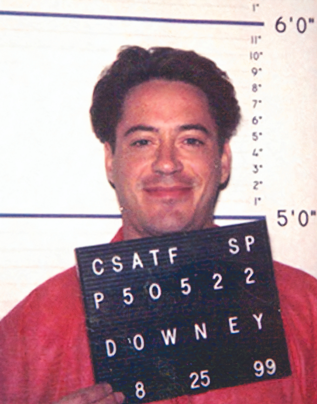 DOWNEY MUGSHOT POSTER - PosterFi