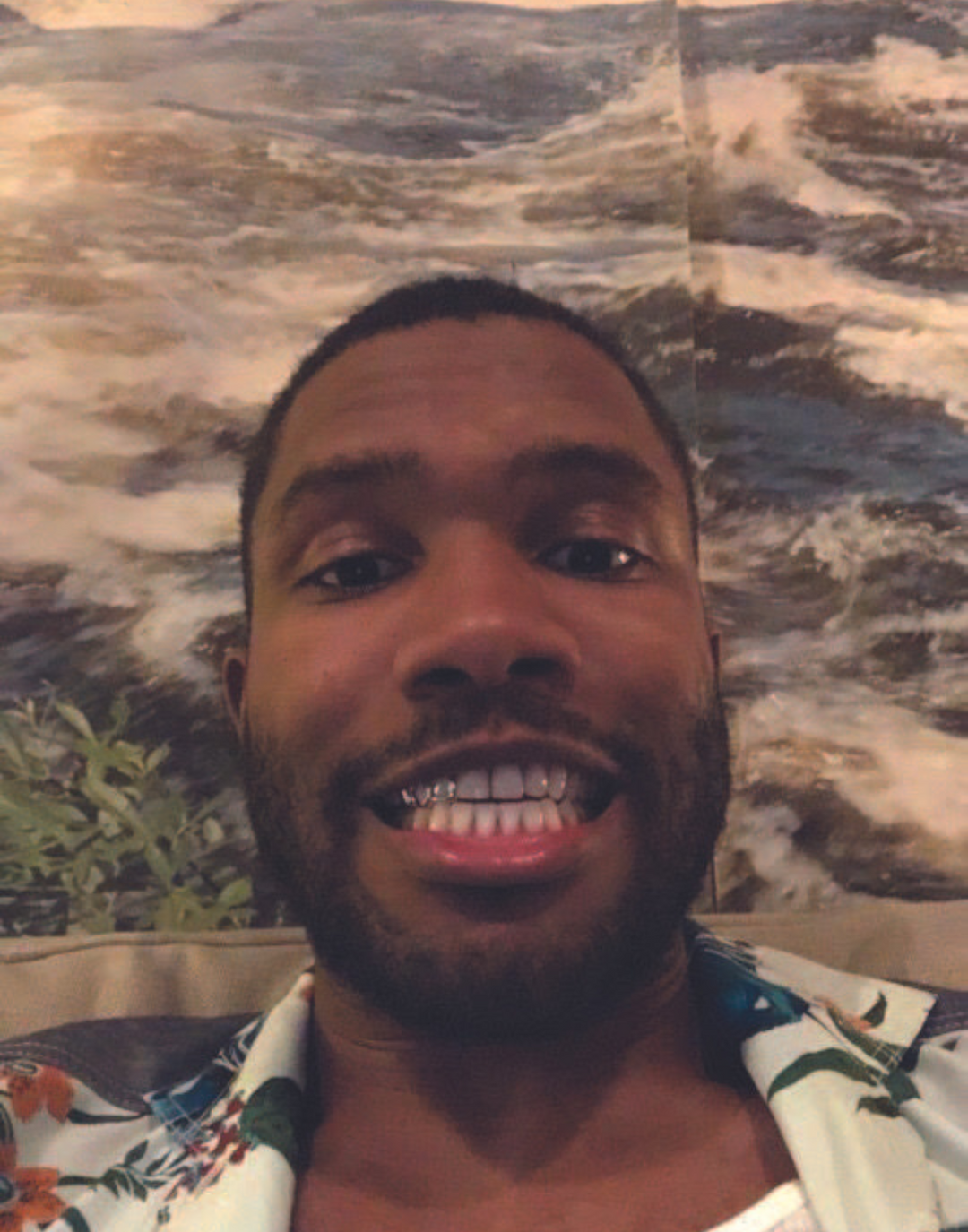 FRANK SELFIE POSTER - PosterFi