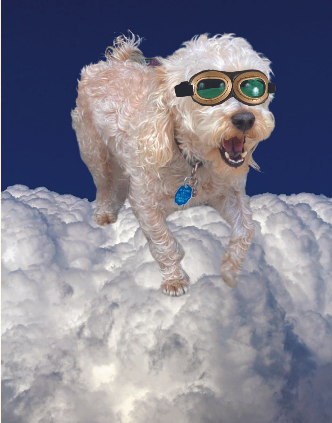 GOAT DOG POSTER - PosterFi