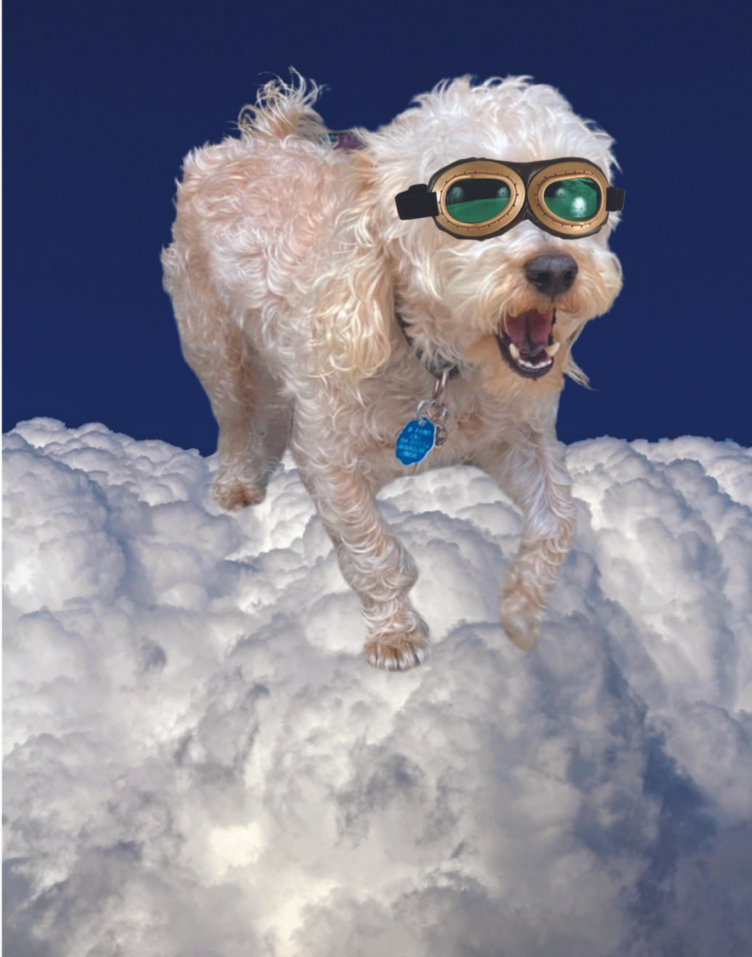 GOAT DOG POSTER - PosterFi
