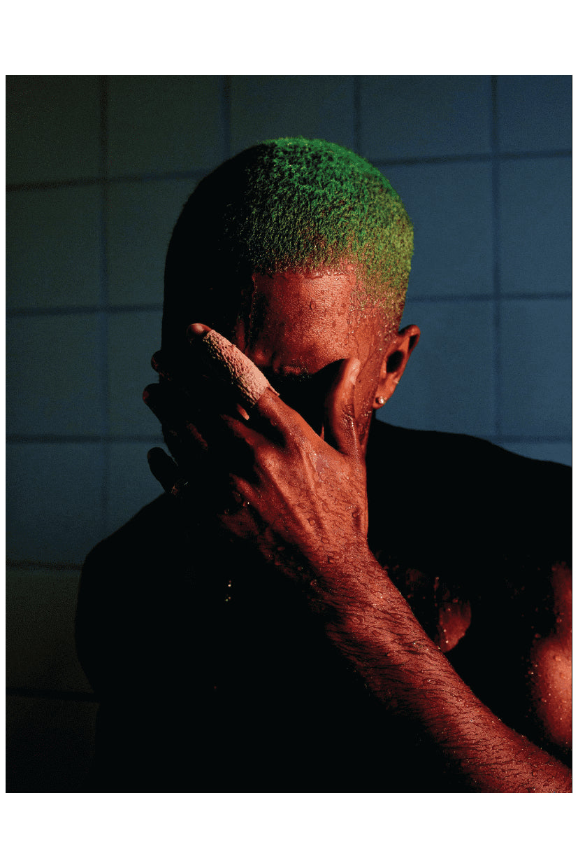 GREEN FRANK POSTER - PosterFi