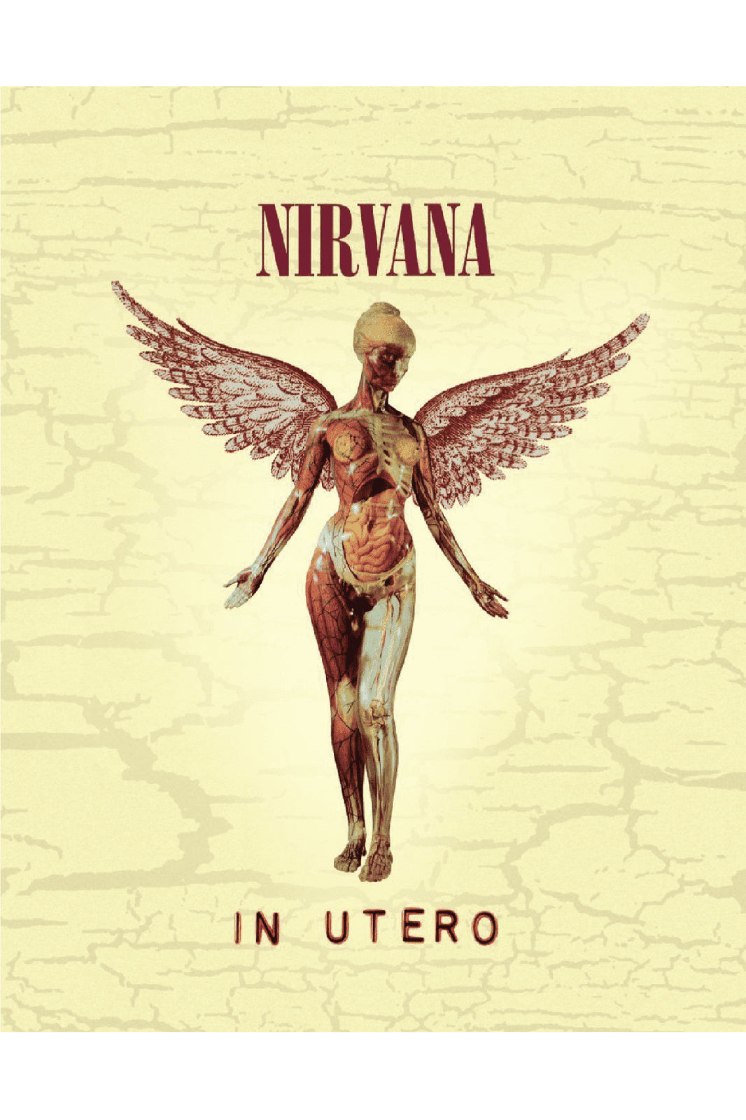 IN UTERO POSTER - PosterFi