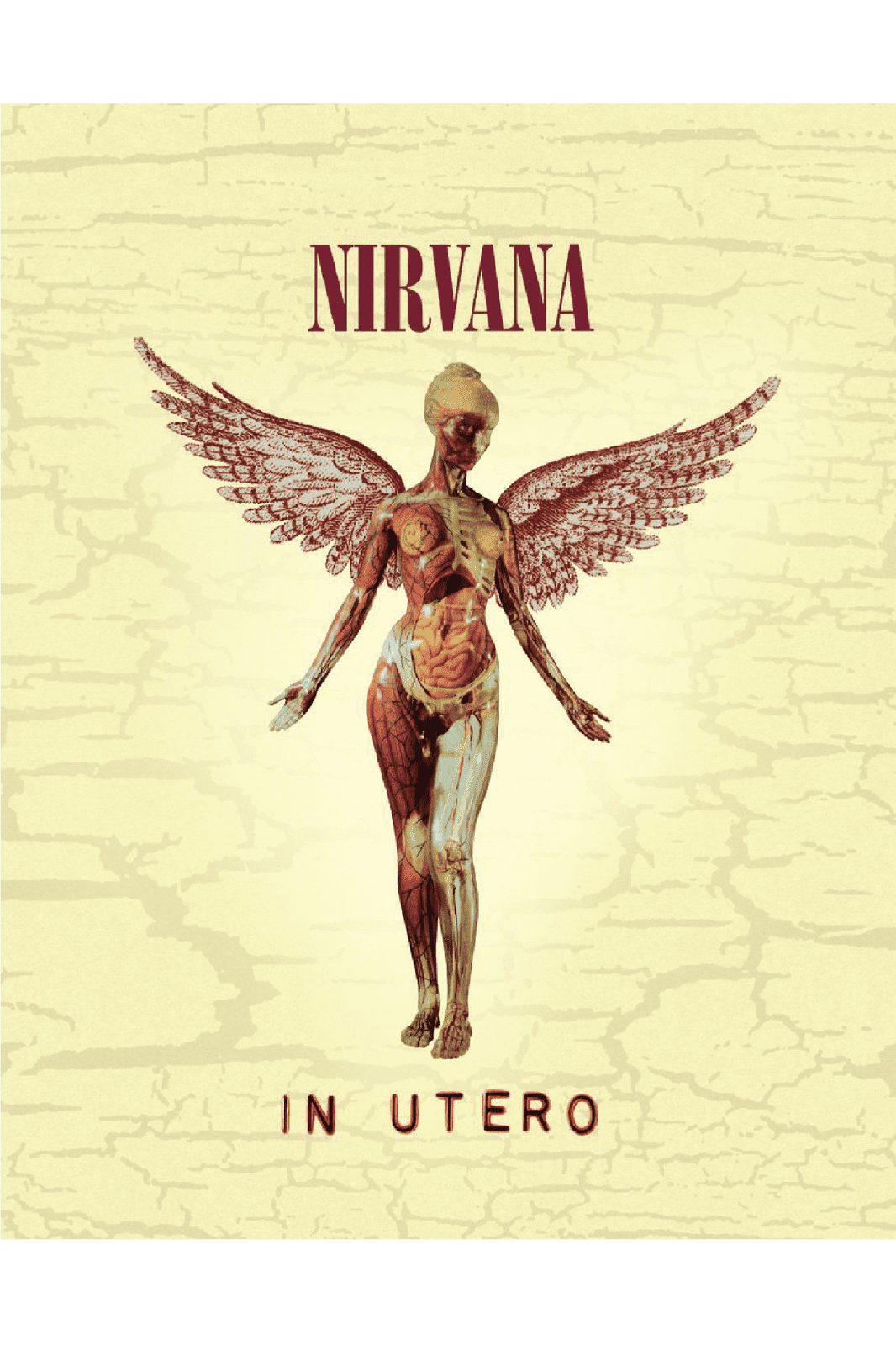 IN UTERO POSTER - PosterFi