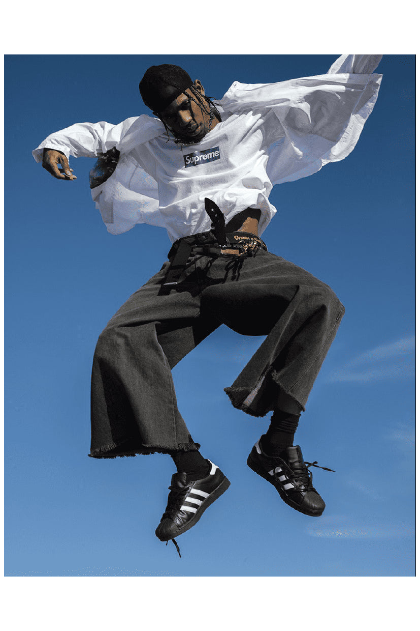 JUMPING TRAVIS POSTER - PosterFi