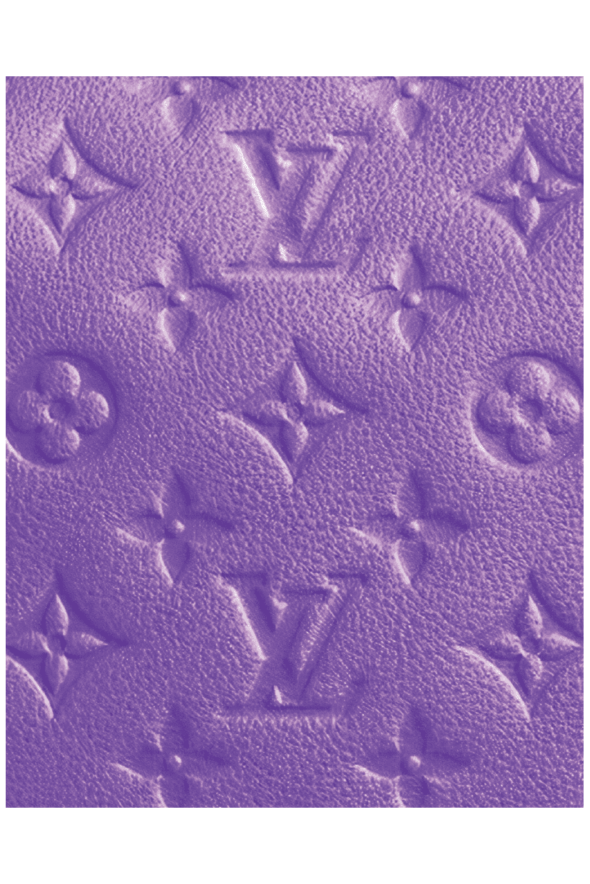 LV IN PURPLE POSTER - PosterFi