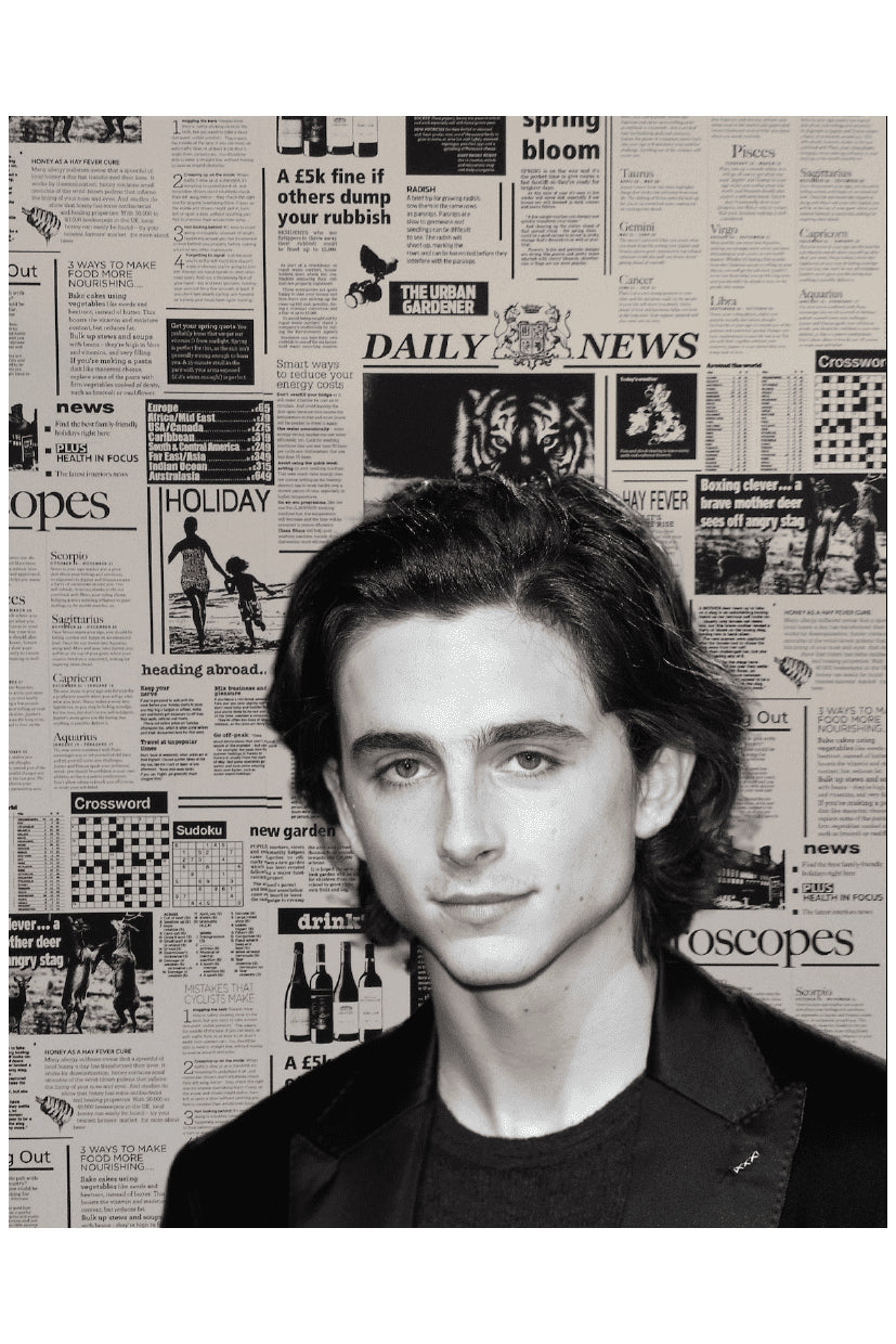 NEWSPAPER TIMMY POSTER - PosterFi