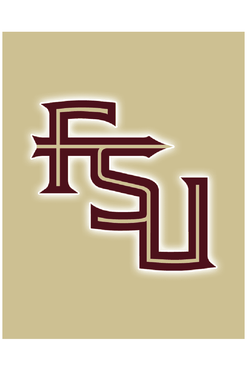 NOLES POSTER IN 2 COLORS - PosterFi