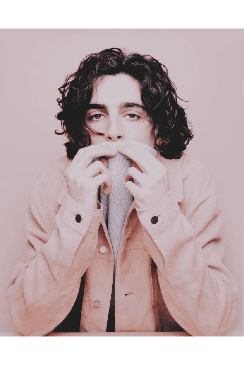 PINK TIMMY POSTER - PosterFi