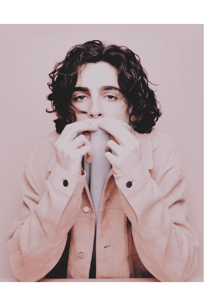 PINK TIMMY POSTER - PosterFi