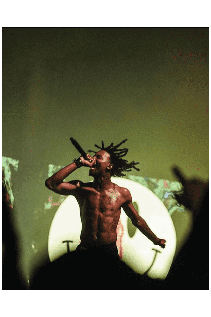 RAGING CARTI POSTER - PosterFi