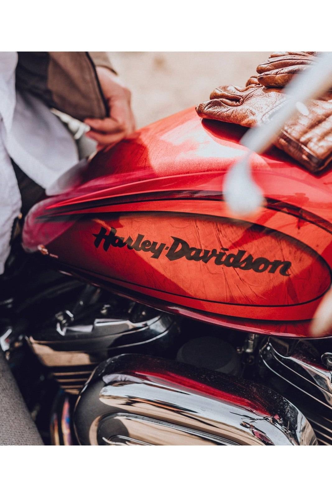 RED HARLEY POSTER - PosterFi