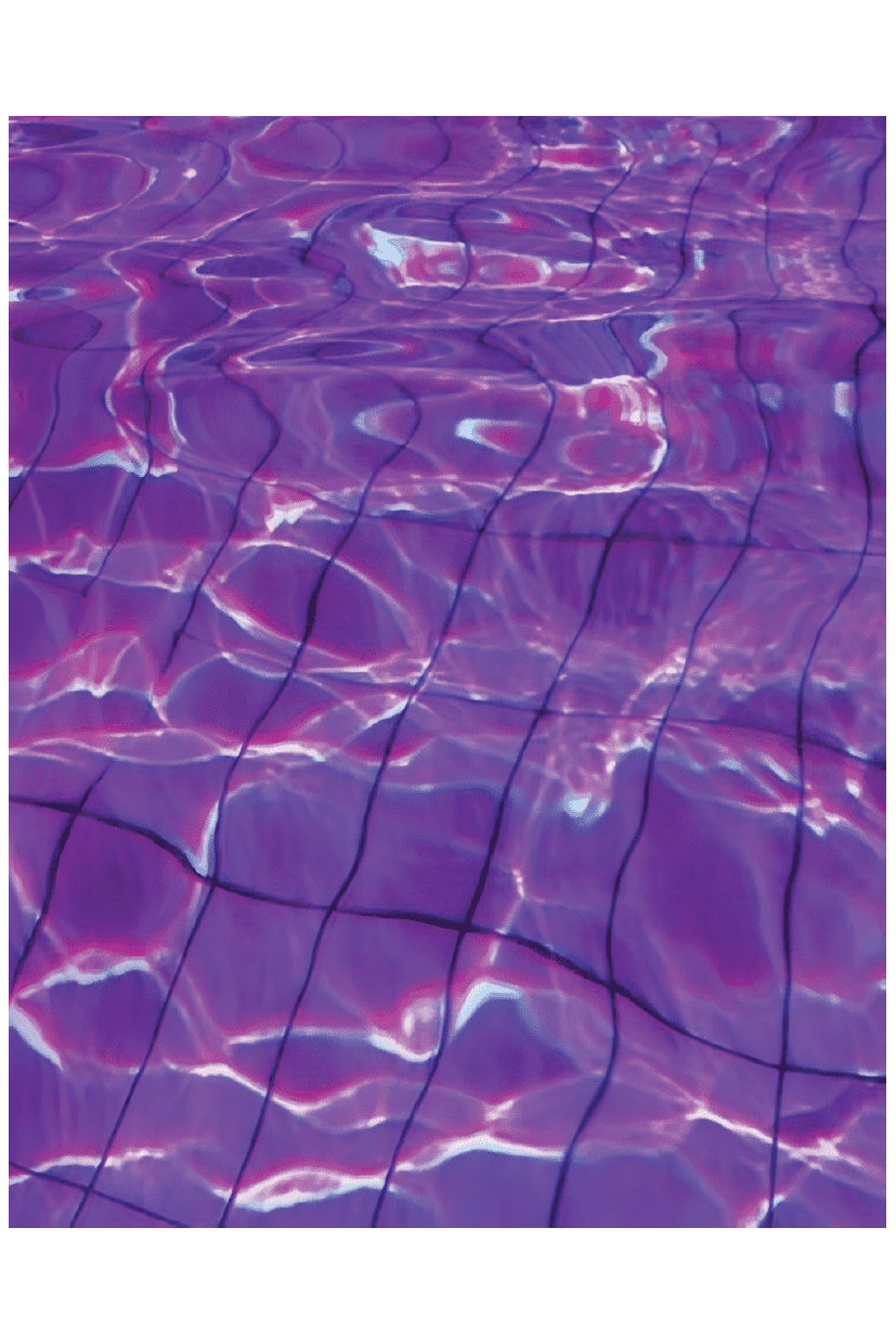 REFLECTING PURPLE POSTER - PosterFi