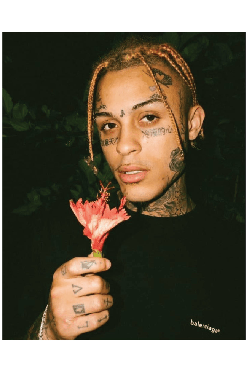 SKIES RED FLOWER POSTER - PosterFi