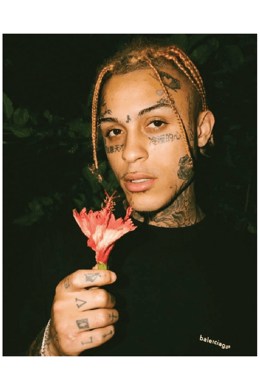SKIES RED FLOWER POSTER - PosterFi