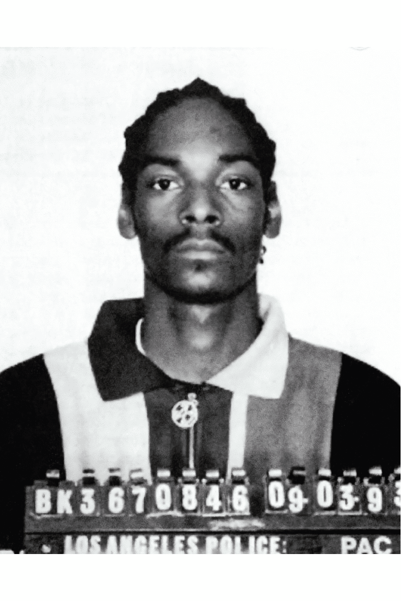 SNOOP MUGSHOT POSTER - PosterFi