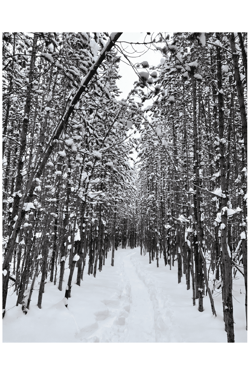 SNOW DAY POSTER - PosterFi