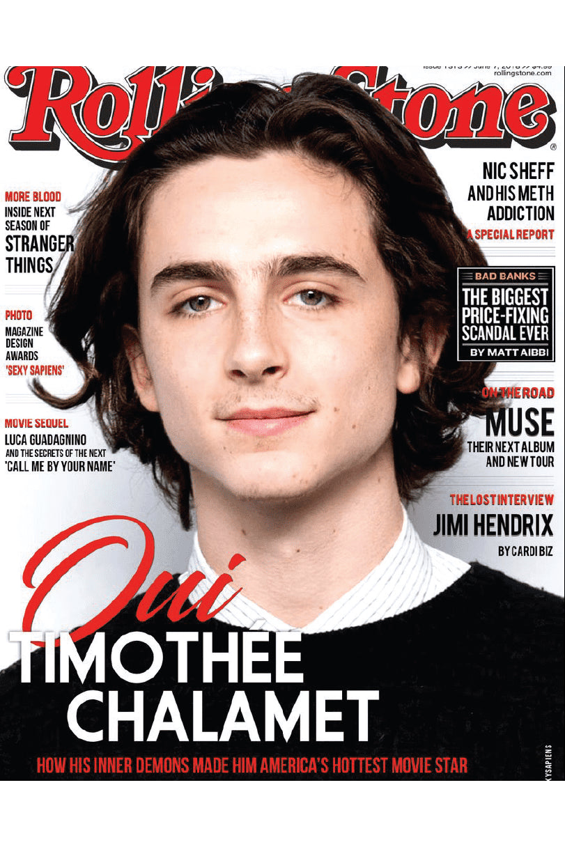 TIMOTHY CHALAMET POSTER - PosterFi