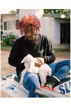 UZI THE GOAT POSTER - PosterFi