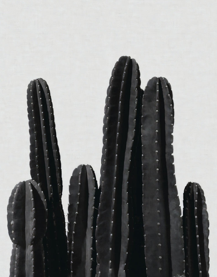 CACTI POSTER - PosterFi