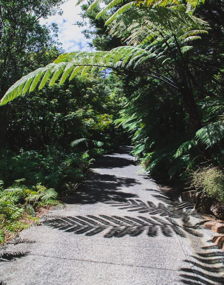 SHADOW WALK POSTER – PosterFi