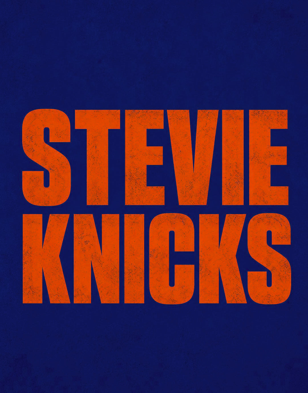 STEVIE KNICKS POSTER