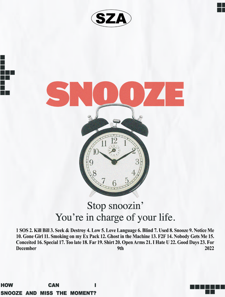 SZA SNOOZE POSTER - PosterFi