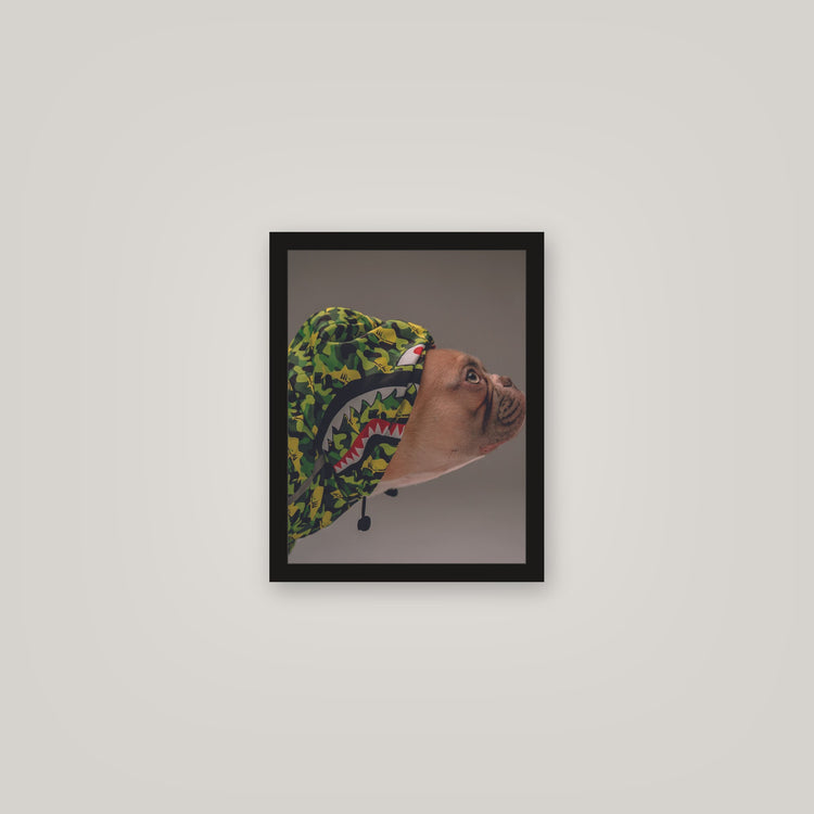 [auto-mockup] BAPE PUP POSTER - 11 x 14in.