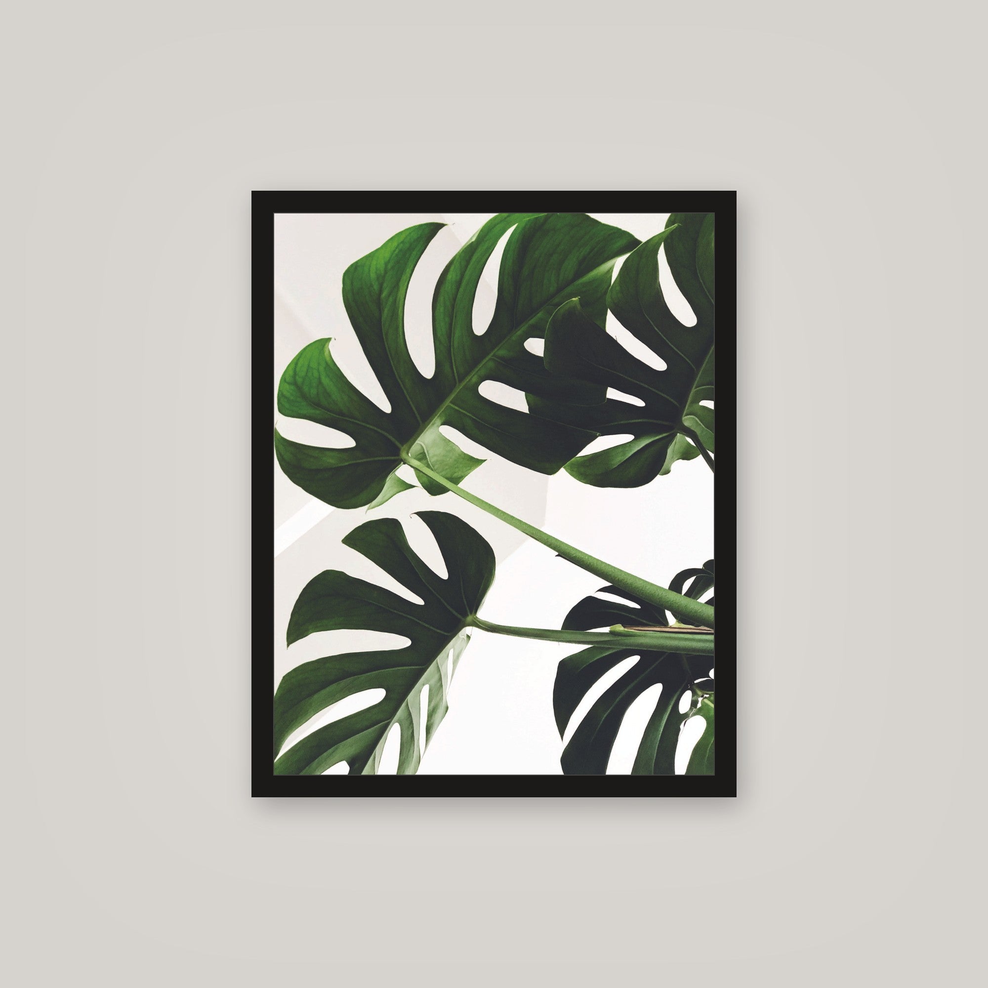 [auto-mockup] BIG GREEN LEAVES POSTER - 16 x 20in.