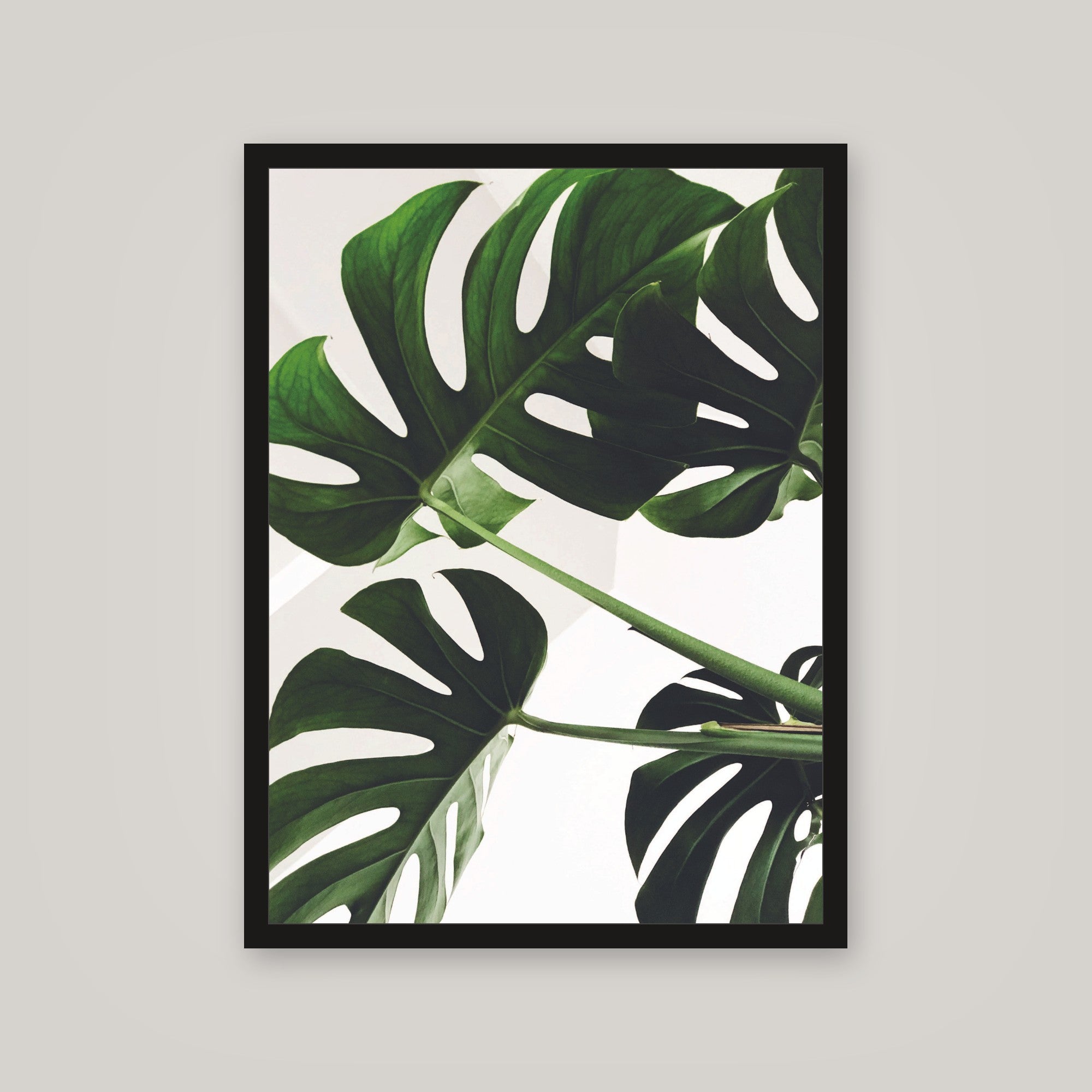 [auto-mockup] BIG GREEN LEAVES POSTER - 18 x 24in.