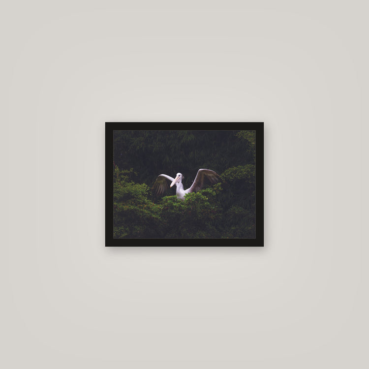 [auto-mockup] BIRD UP POSTER - 11 x 14in.