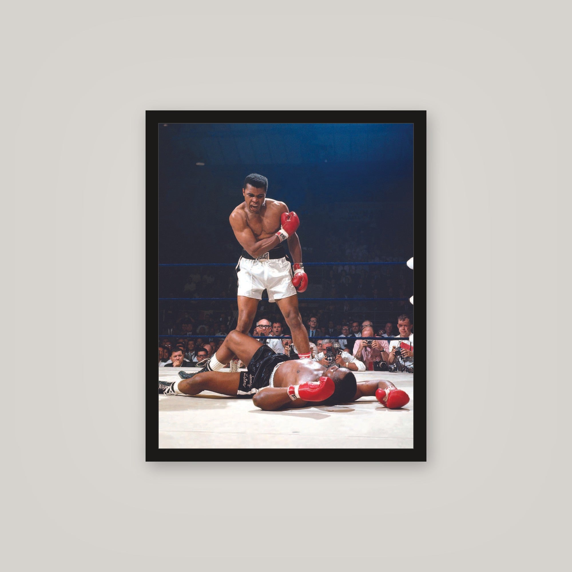 [auto-mockup] BOXER DOWN POSTER - 16 x 20in.
