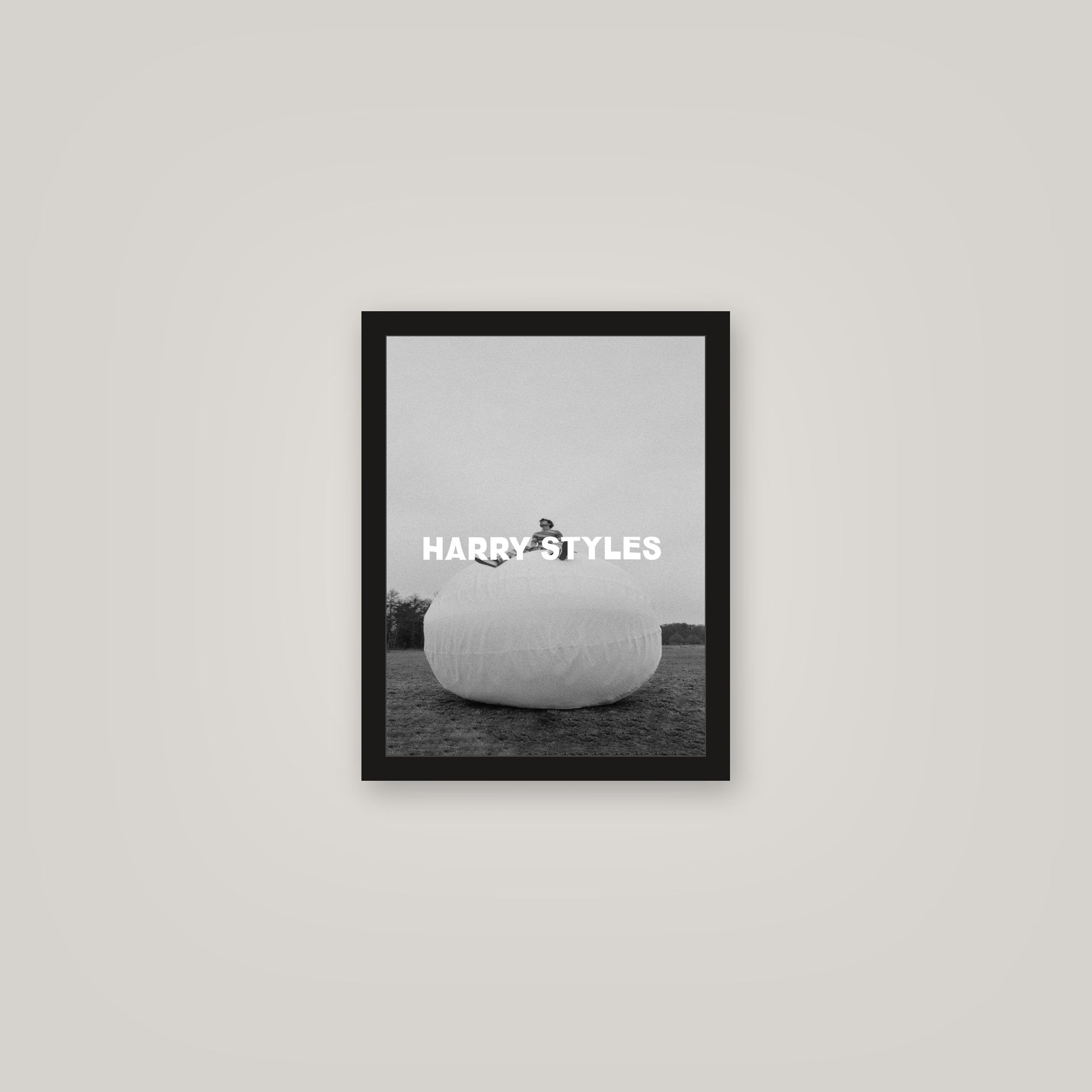 [auto-mockup] BUBBLE HARRY POSTER - 11 x 14in.