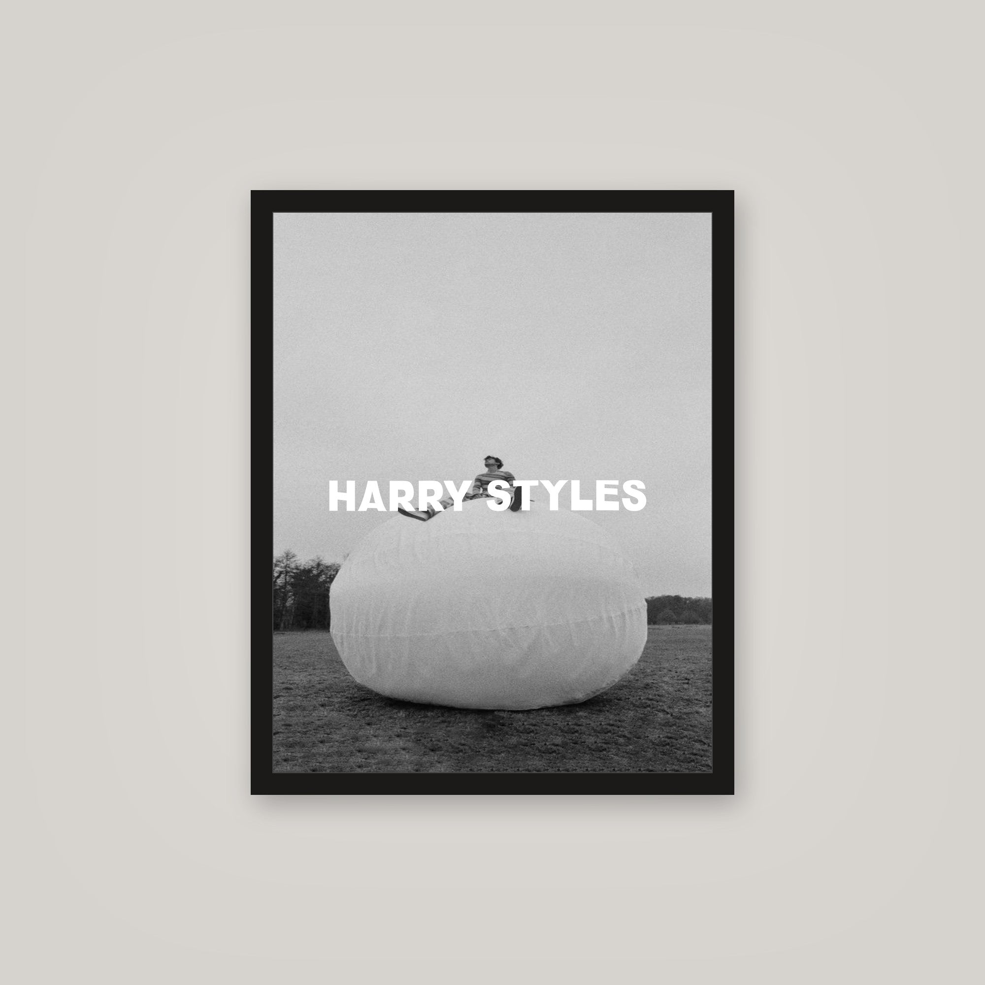 [auto-mockup] BUBBLE HARRY POSTER - 16 x 20in.