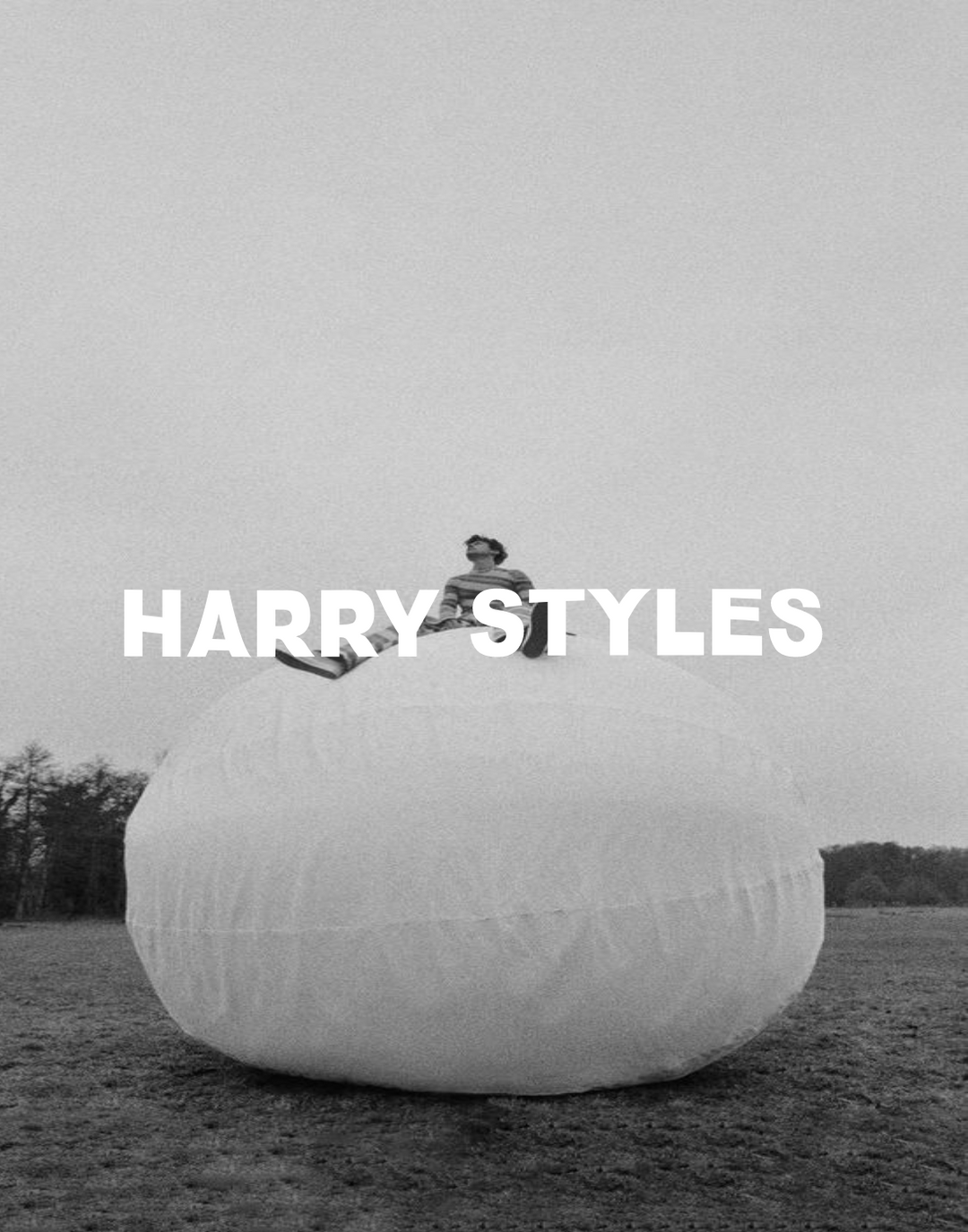 BUBBLE HARRY POSTER - PosterFi