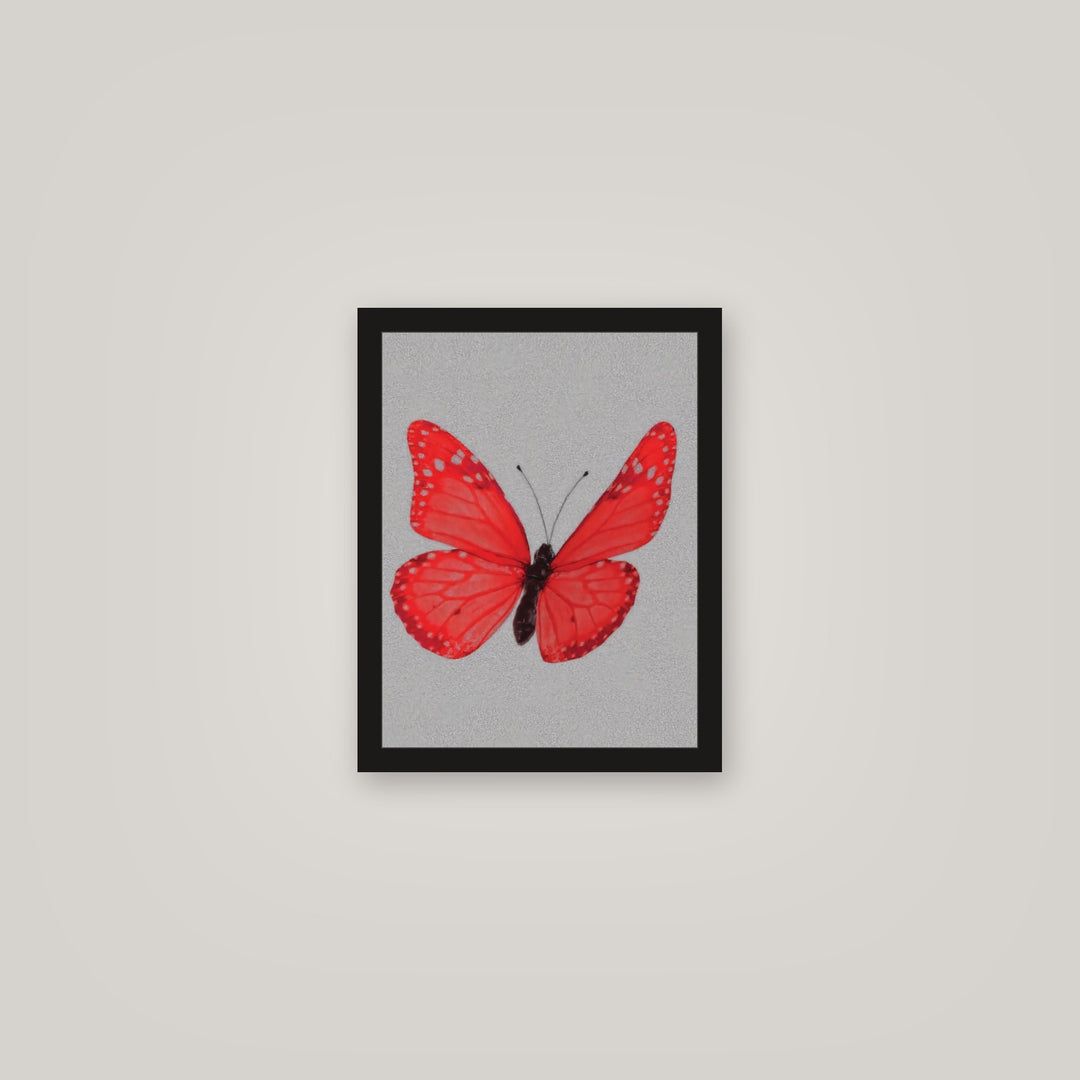 [auto-mockup] BUTTERFLY POSTER IN ALL COLORS - 11 x 14in.