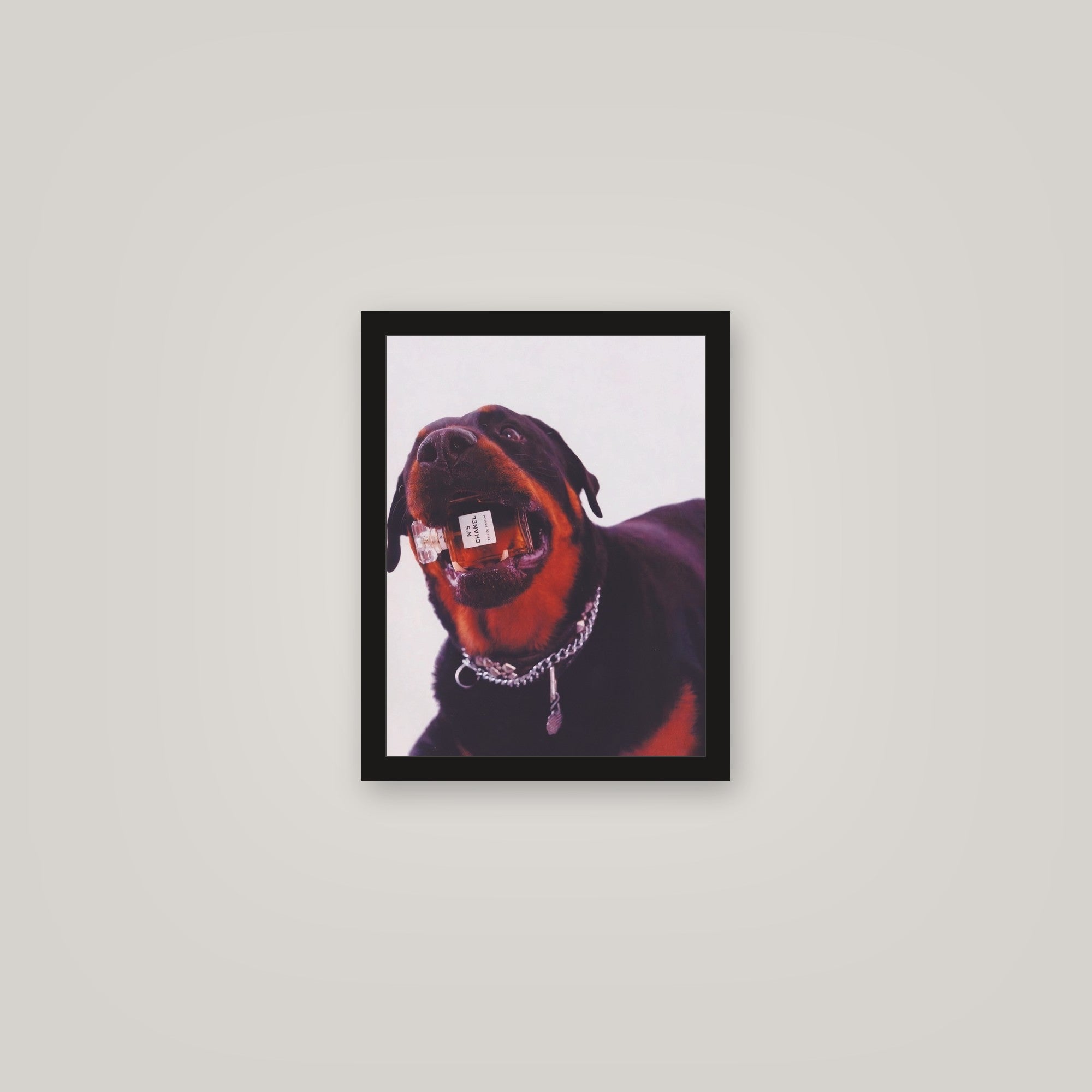 [auto-mockup] CC DOG POSTER - 11 x 14in.
