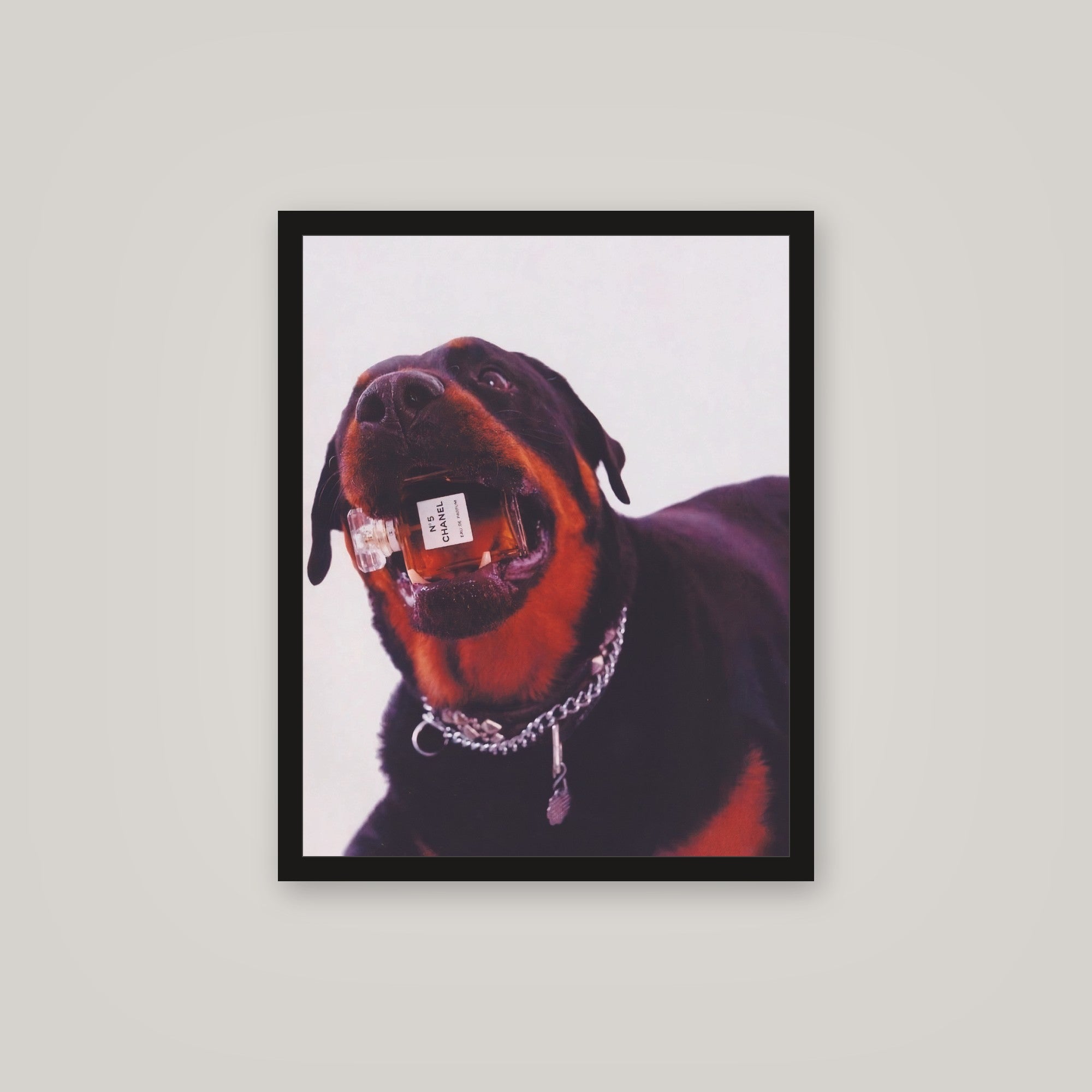 [auto-mockup] CC DOG POSTER - 16 x 20in.