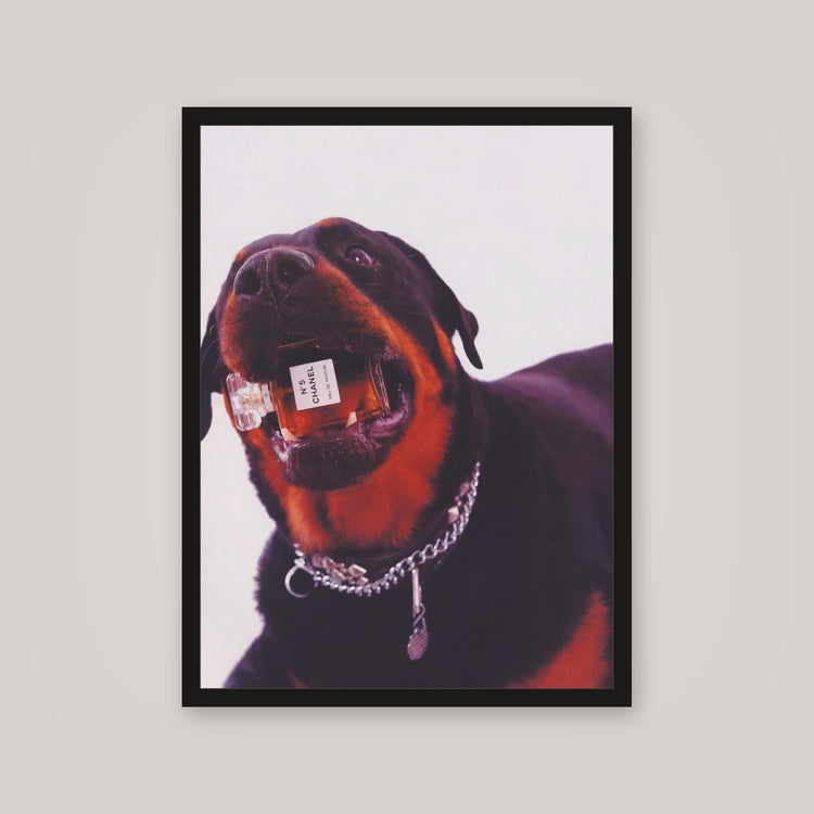[auto-mockup] CC DOG POSTER - 18 x 24in.