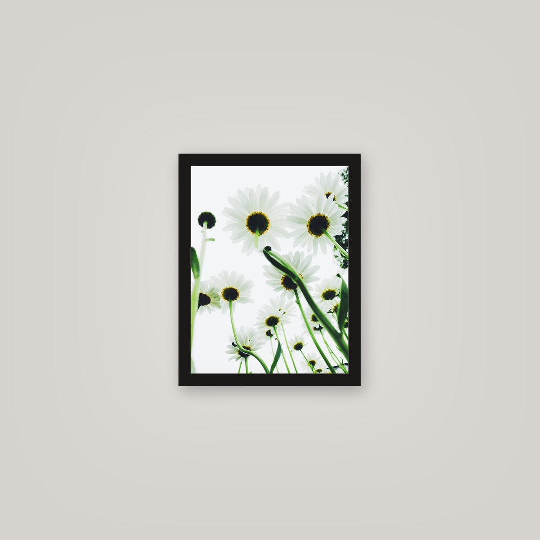 [auto-mockup] DAISY POSTER - 11 x 14in.