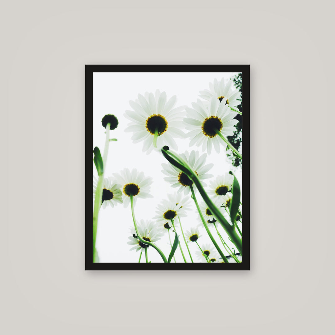 [auto-mockup] DAISY POSTER - 16 x 20 in.