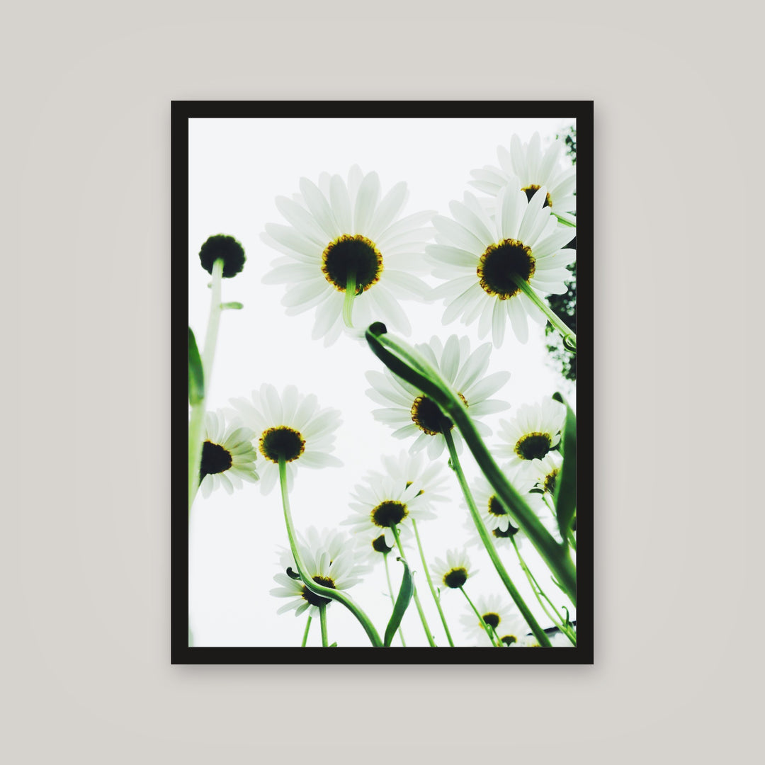[auto-mockup] DAISY POSTER - 18 x 24 in