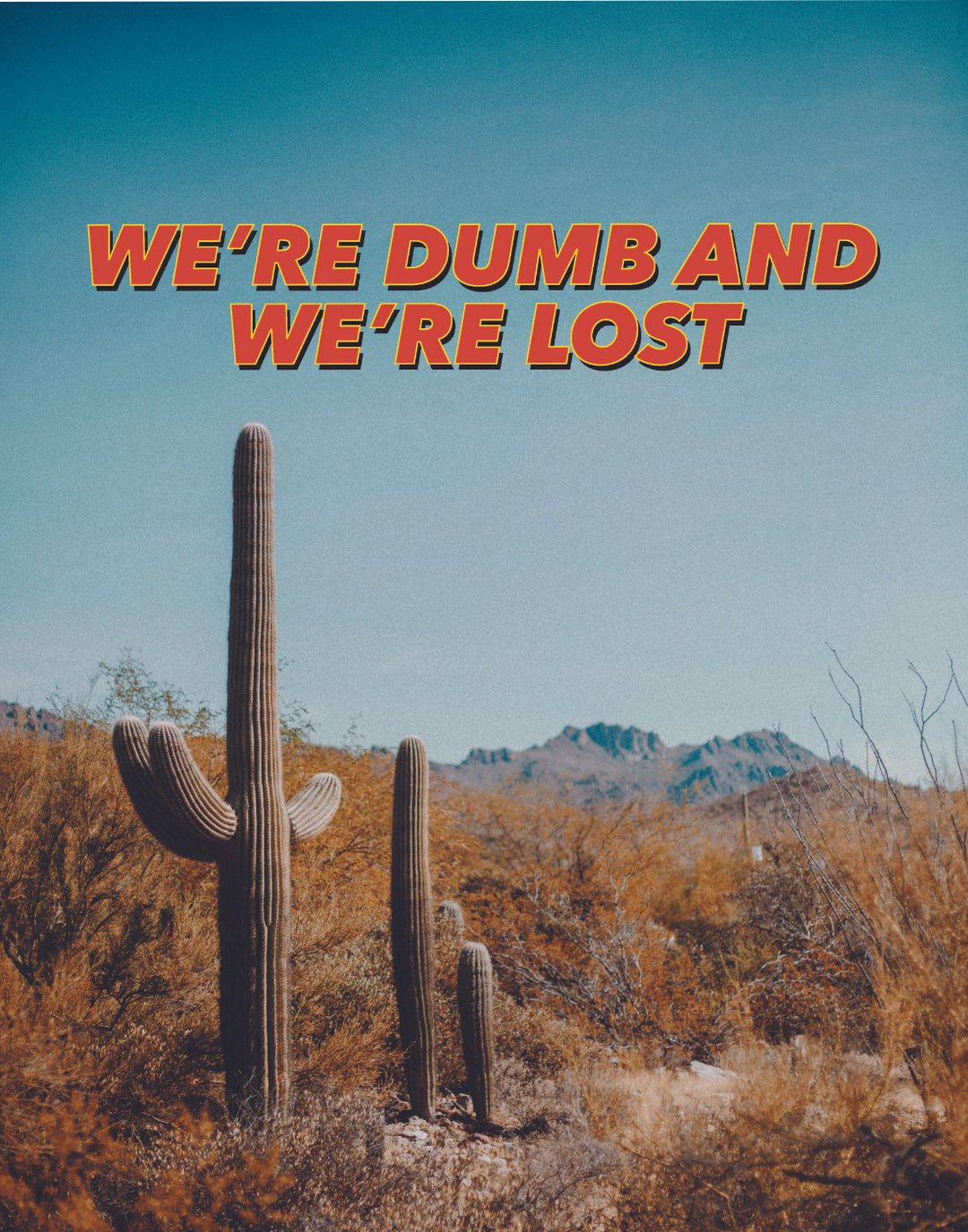 DUMB AND LOST POSTER - PosterFi