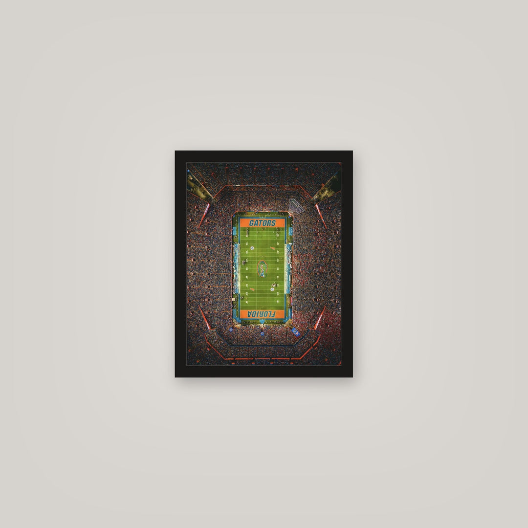 [auto-mockup] ELECTRIC STADIUM POSTER - 11 x 14in
